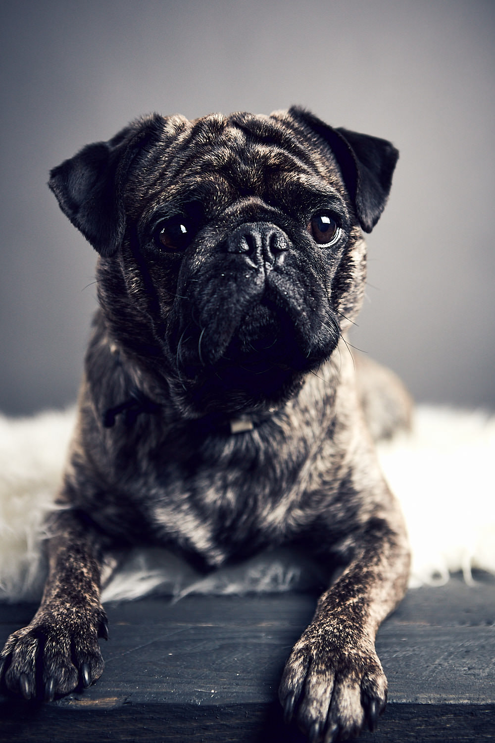 Pumba